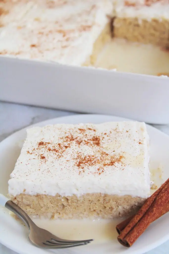 Horchata Tres Leches Cake - The Six Figure Dish