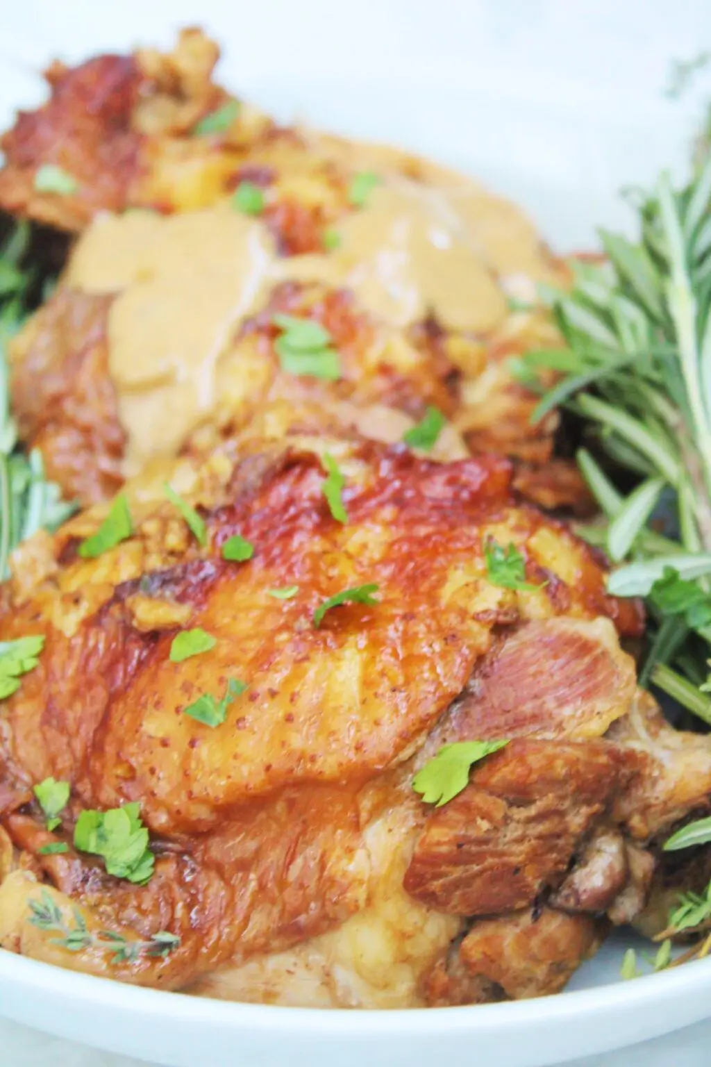 instant-pot-turkey-thighs-the-six-figure-dish