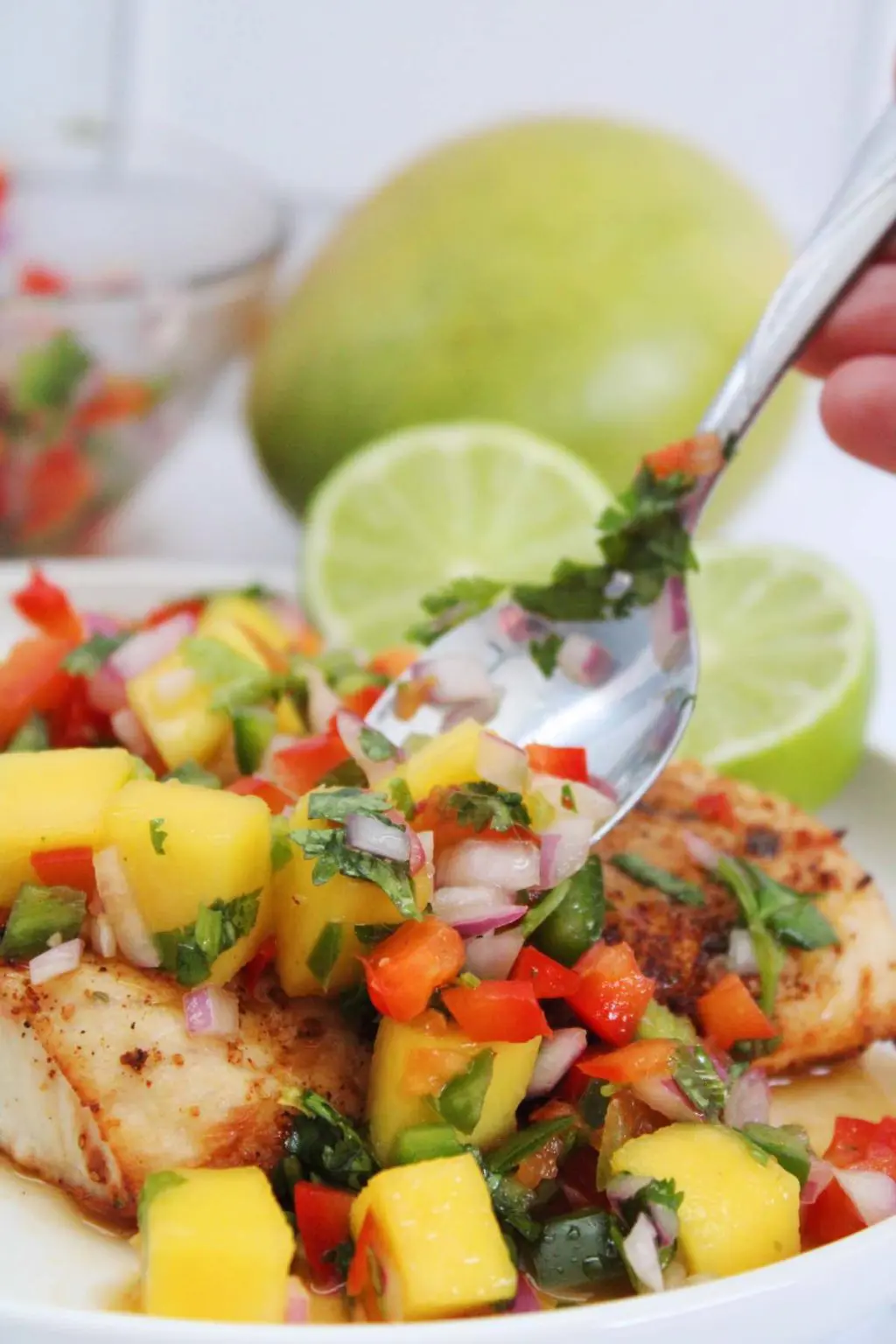 Mango Habanero Salsa - The Six Figure Dish