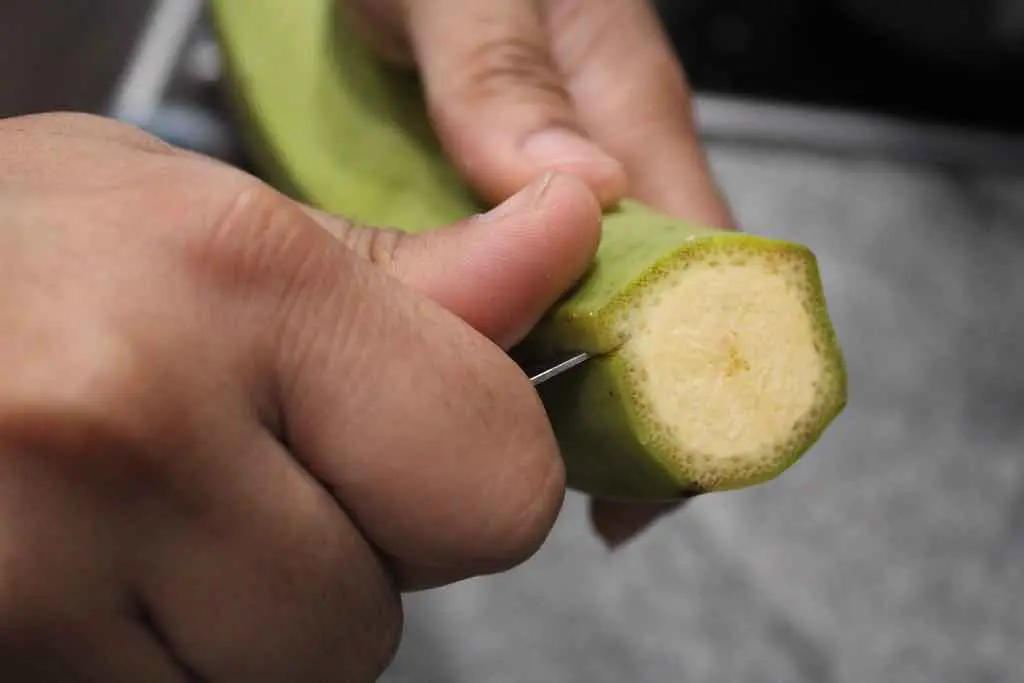 This is how you begin peeling the green plantains.