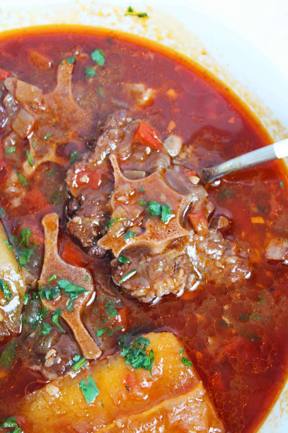 Delicious and easy pressure cooker oxtail stew made in the instant pot.