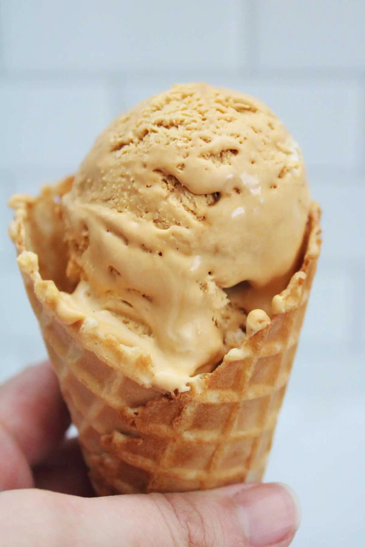 Here Are 20 Quick and Delicious No Churn Ice Cream Recipes to Elevate Your Summer 9