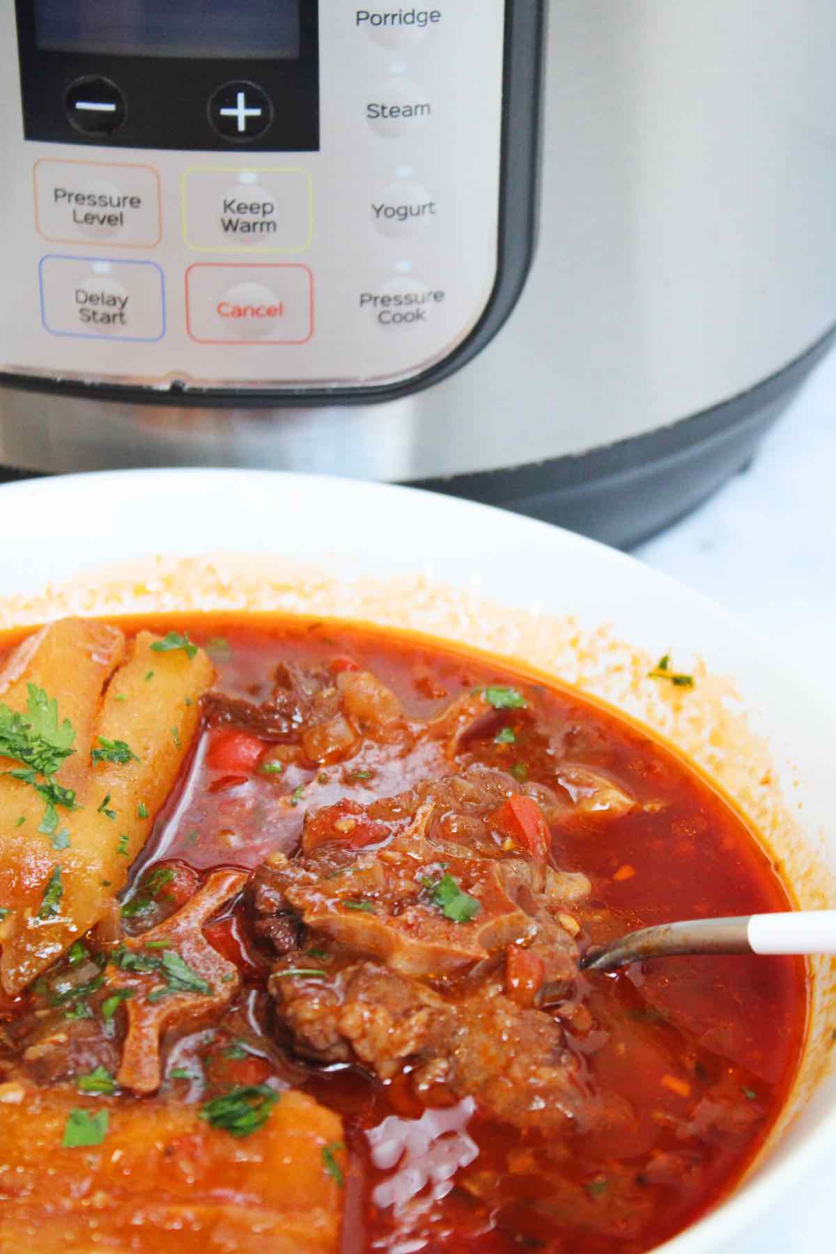 An easy oxtail recipe that the entire family will love.