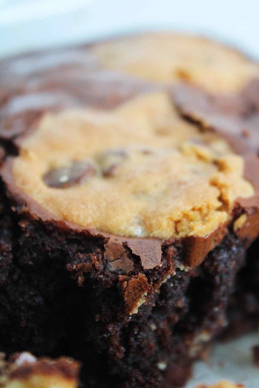 Domino's Marbled Cookie Brownie The Six Figure Dish