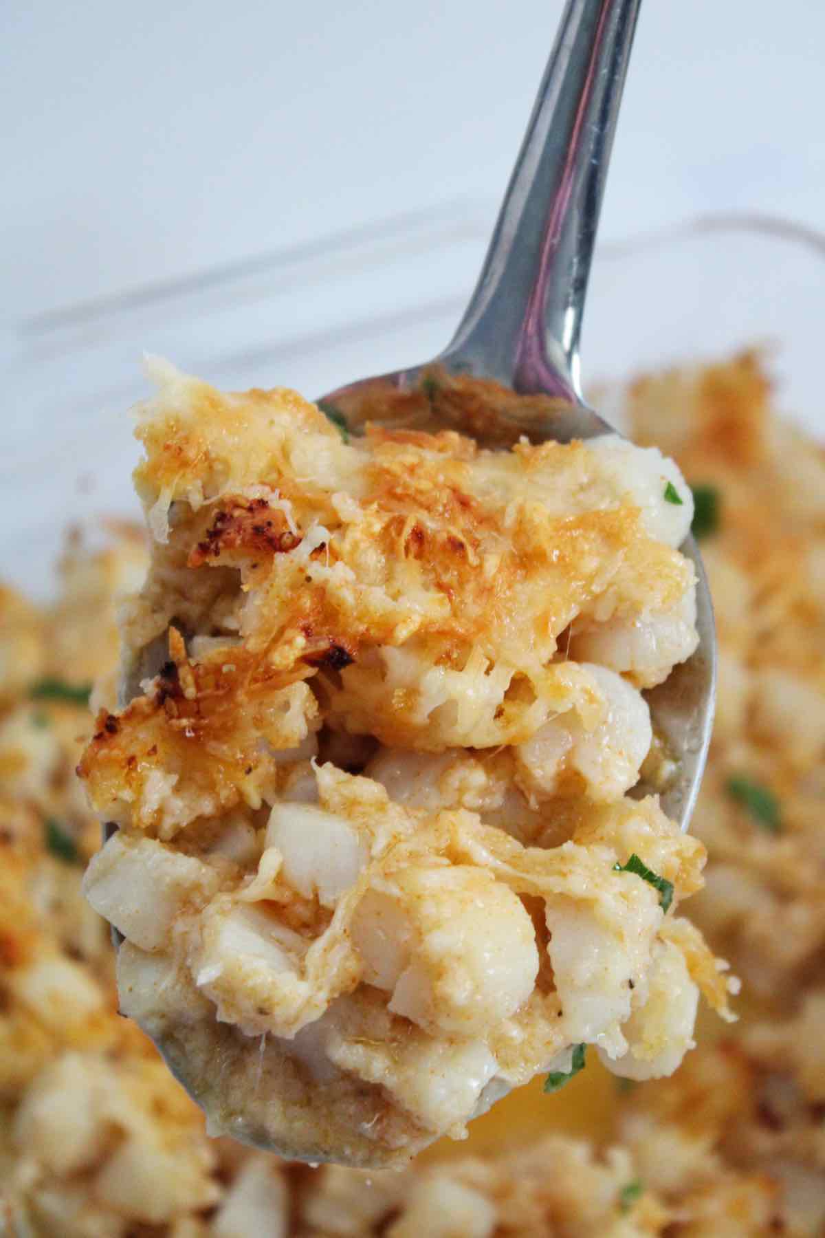 Baked cheesy parmesan scallops will quickly become a family favorite in your household.