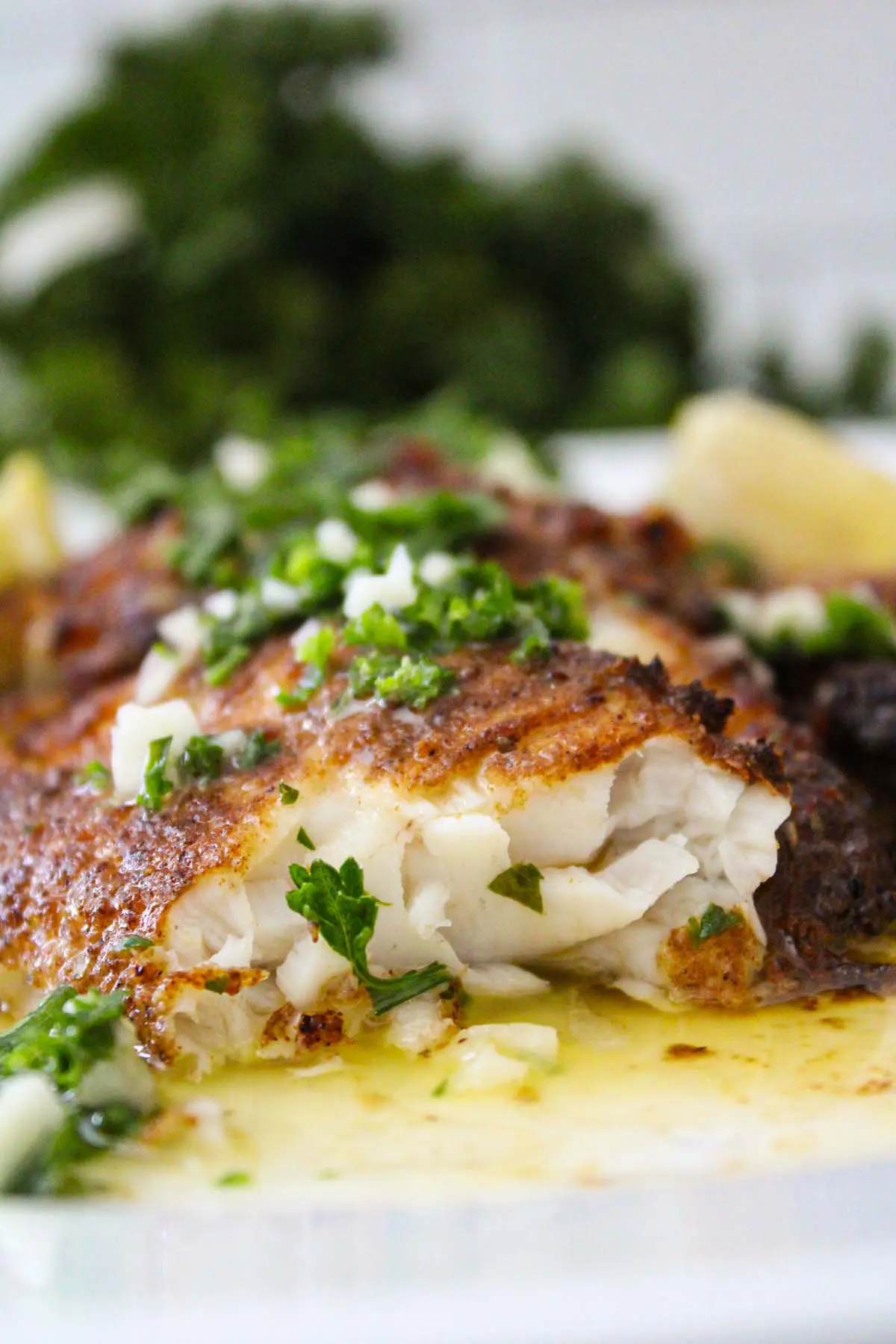 Air Fryer Blackened Catfish The Six Figure Dish